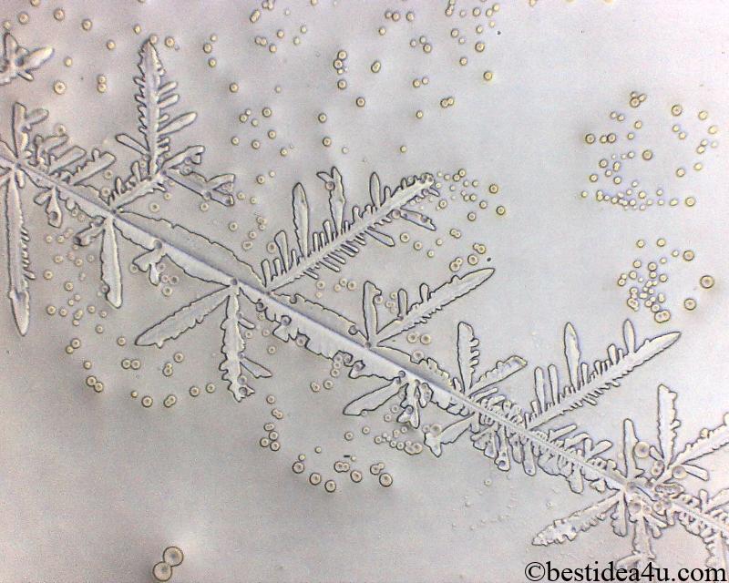 雪の結晶のような醤油の結晶