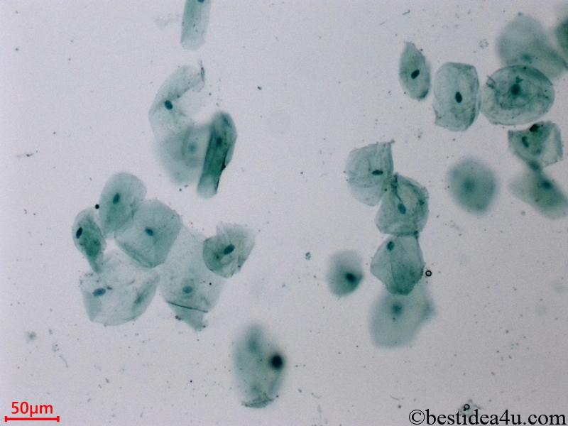 医師の診察を受ける時期